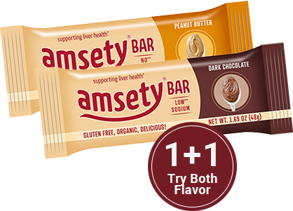 Amsety Peanut Butter and Dark Chocolate nutrition bars
